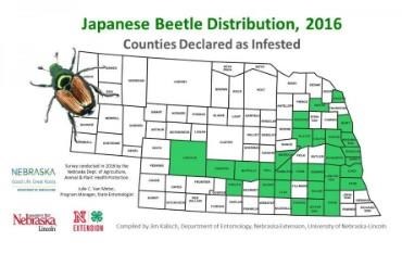 Japanese Beetles Migrating West